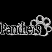 GLT17 SILVER GLITTER Thumbnail