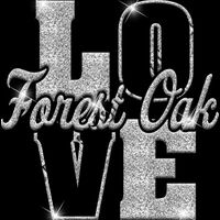 GLT74 SILVER GLITTER Thumbnail